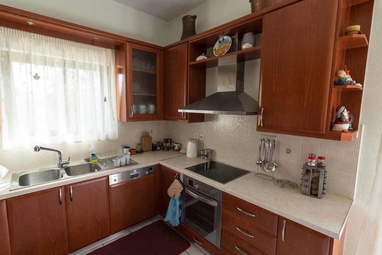 Big Family House In Mesochoria Village Kültér fotó