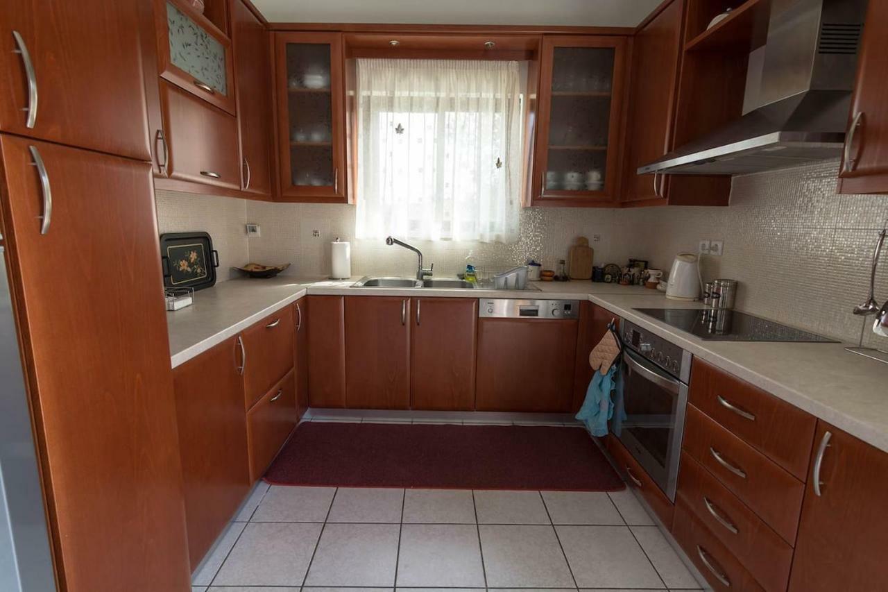 Big Family House In Mesochoria Village Kültér fotó