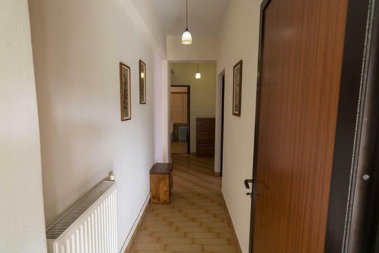 Big Family House In Mesochoria Village Kültér fotó